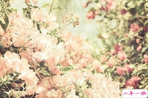 超甜蜜的关于爱情的情话说说带图片 我遇见了你然后我的生活改变了7