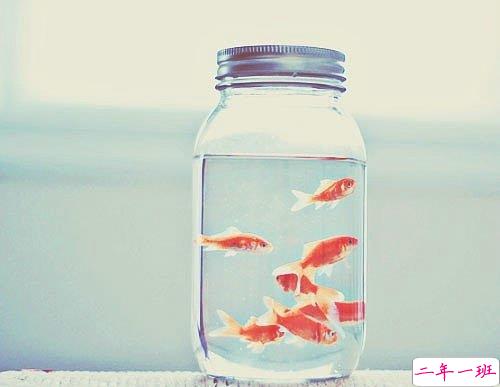 超甜蜜的关于爱情的情话说说带图片 我遇见了你然后我的生活改变了10