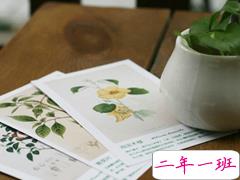 关于爱情的有意思的文艺句子 爱她是我做过的最好的事