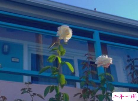 女生现实霸气个性说说配图大全 最新最酷女生个性说说带图片12