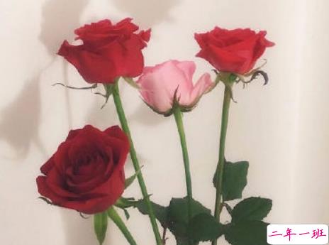 女生现实霸气个性说说配图大全 最新最酷女生个性说说带图片14