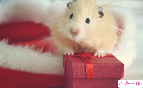 超甜蜜的恋爱中的小情侣适合发的爱情说说带图片 写尽千山落笔是你14