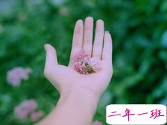 有种淡淡心酸的个性说说带图片 文字控喜欢的文艺个性说说配图