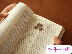 充满少女心的爱情小句子带图片 能遇见你感觉就像是得到了上天的眷顾