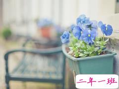 关于爱情的唯美简单一句话经典说说带图 我生在南方活在南方却栽在你手里