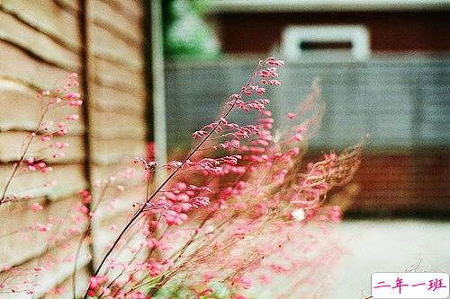 一个人感到孤独寂寞时发的说说带图片 一个人只要学会了回忆就再不会孤独2