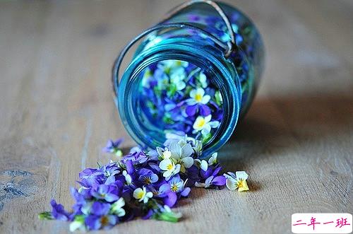 一个人感到孤独寂寞时发的说说带图片 一个人只要学会了回忆就再不会孤独3