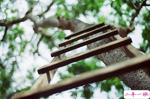 一个人感到孤独寂寞时发的说说带图片 一个人只要学会了回忆就再不会孤独7