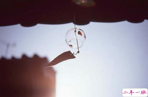 浪漫甜蜜的句子带图片 我虽是不完美的平凡人可却如此爱你4