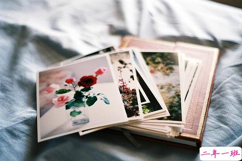 浪漫甜蜜的句子带图片 我虽是不完美的平凡人可却如此爱你15