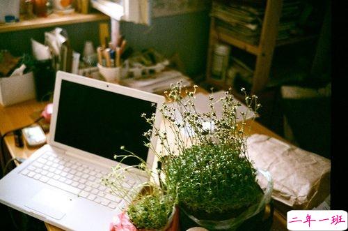 只想说给你听的小情话带图片 你笑时雷声温柔暴雨无声5