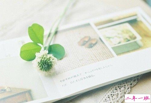 只想说给你听的小情话带图片 你笑时雷声温柔暴雨无声6