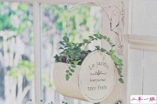 只想说给你听的小情话带图片 你笑时雷声温柔暴雨无声8