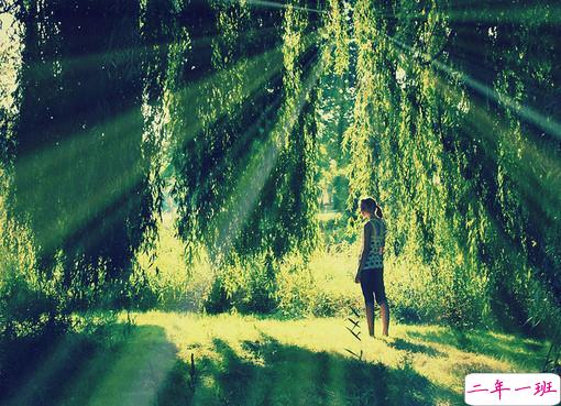 关于爱情中的失望和难受的说说带图片 失望攒够了我自然会走2