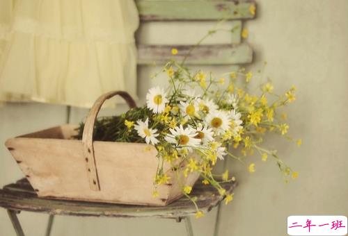 关于青春和成长的适合文艺女生发说说的句子带图片11