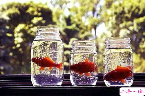 关于青春和成长的适合文艺女生发说说的句子带图片14