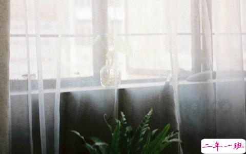 爱情中关于等待的句子和图片 白茶清欢无别事我在等风也等你3