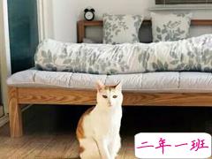 恋爱中的甜蜜温暖小情绪说说带图片 跨越大半个地球与你相见