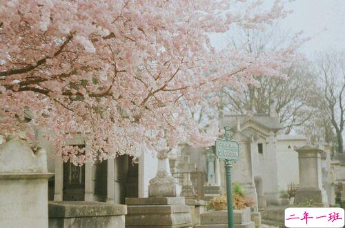 真正喜欢一个人是什么样子？1