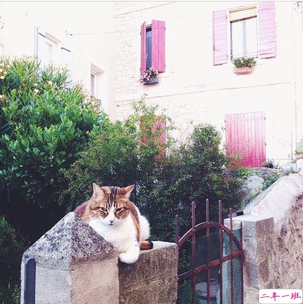 恋爱时的甜蜜小情话温柔的句子带图片 我奔向你就像奔向未来16