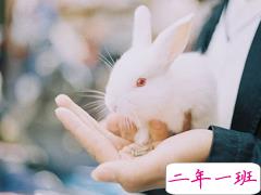 关于爱情简单又有道理的句子配图 爱情是一个人的天荒地老