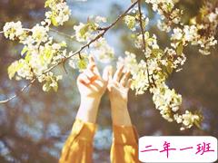 一个人有些孤独的简单图片说说 用一生时间与你话别