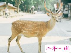 表示无聊的朋友圈说说带图片:无聊,是人生的一种正常现象