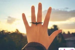 个性说说有图片的,QQ个性说说图片