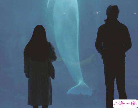 微博说说说到心坎上带图片 总有这么一个人会让你毫无原因地笑起来  6