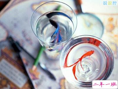 人气说说带图片2