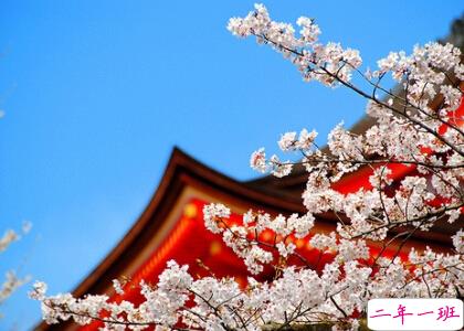 人气说说带图片5