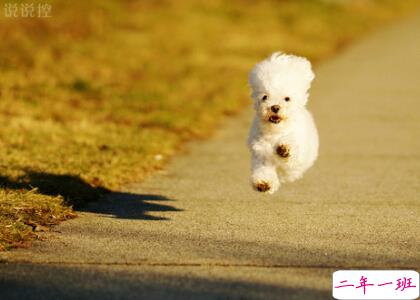 超拽空间说说带图片7