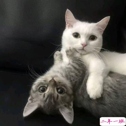 朋友圈情人节说说配图2019 我喜欢这世界也喜欢你10