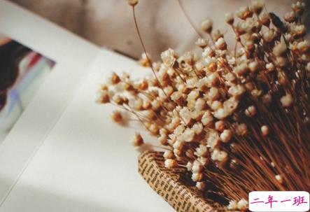 余生还是不要你指教了，我自己过吧6