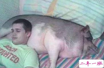 有意思的图片加说说 适合发朋友圈的搞笑段子图片6