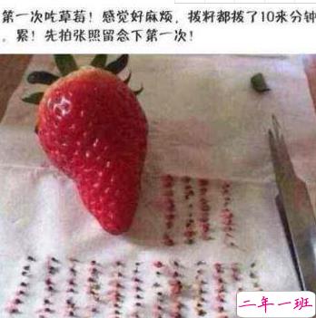 有意思的图片加说说 适合发朋友圈的搞笑段子图片12