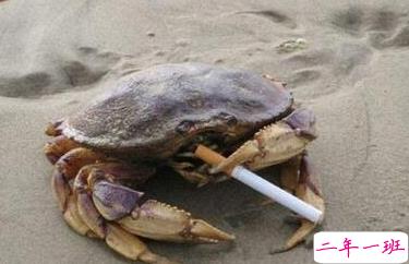 有意思的图片加说说 适合发朋友圈的搞笑段子图片13