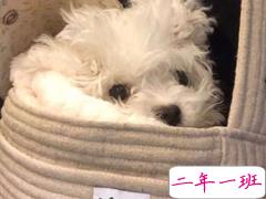 发一条有有趣的朋友圈说说 夏天那么热暗恋会变成热恋吗