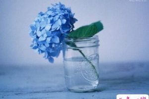 关于情侣的说说图片，QQ情侣说说带图片