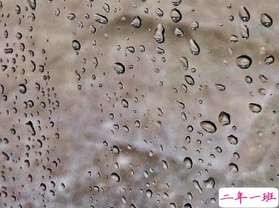 下雨天搞笑文案带图片 雨天可以发的幽默句子3