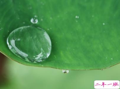 下雨天搞笑文案带图片 雨天可以发的幽默句子6