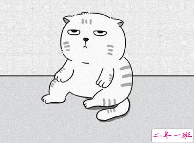 朋友圈搞笑文案带图片 少见有趣的说说句子12