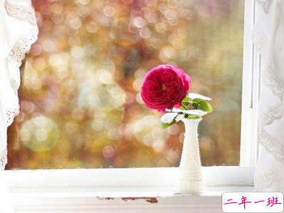 爱一个人的说说带图片7