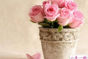 爱情图片说说大全：我不是温柔的人，却为你做尽温柔的事