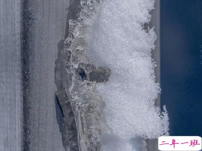 朋友圈下雪说说幽默带图片 下雪天搞笑说说短语9