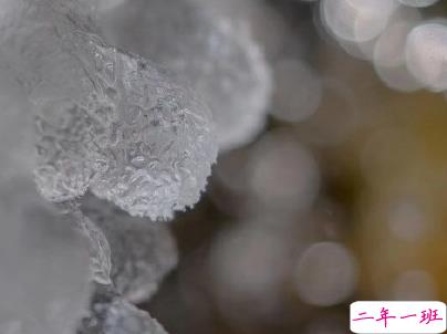 朋友圈下雪说说幽默带图片 下雪天搞笑说说短语10