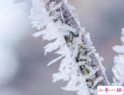 朋友圈下雪说说幽默带图片 下雪天搞笑说说短语15