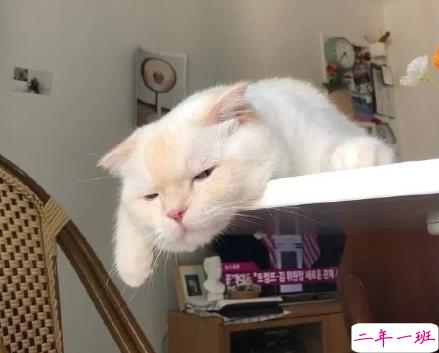 关于抑郁症朋友圈说说带图片 很治愈的朋友圈文案11