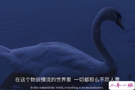 很丧却充满希望的句子带图片 经典朋友圈励志简洁句子10