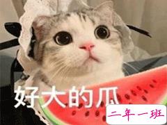 吃瓜人朋友圈说说怎么发 微博吃瓜人有趣说说带图片